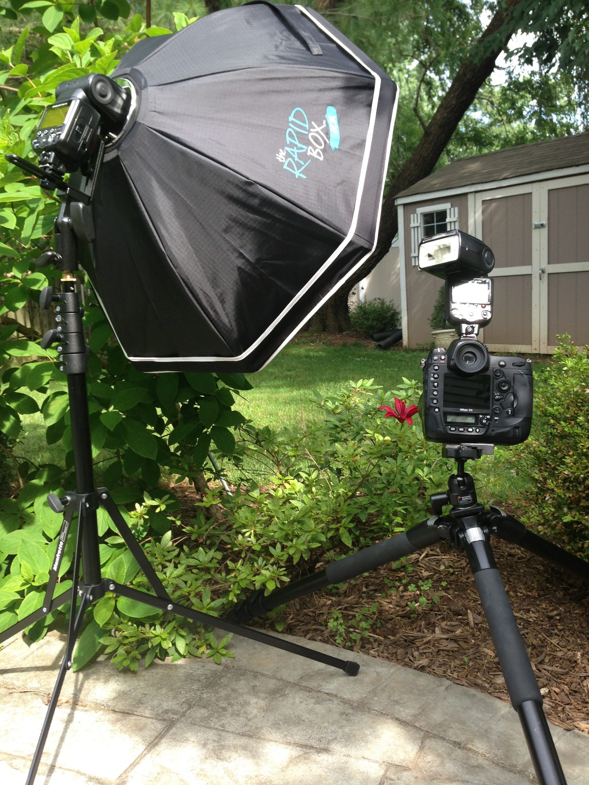 ©TimeLine Media – Rapid Box setup for flower shoot