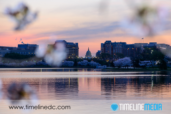Cherry Blossoms and the Capitol Building in Washington, DC - ©TimeLine Media