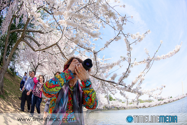 Photographer at DC Cherry Blossoms - ©TimeLine Media