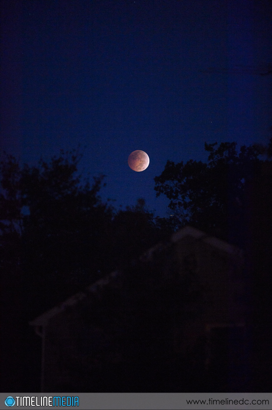 Early-morning-lunar-eclipse-©TimeLine-Media