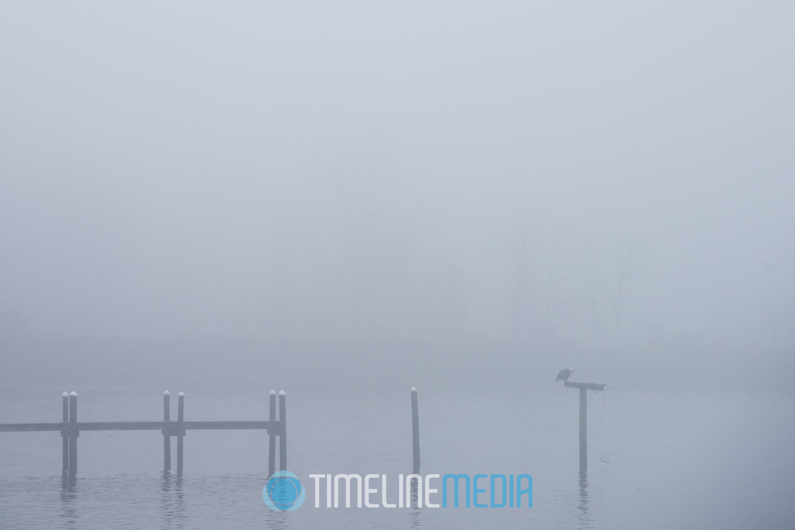 End of pier over a foggy river ©TimeLine Media