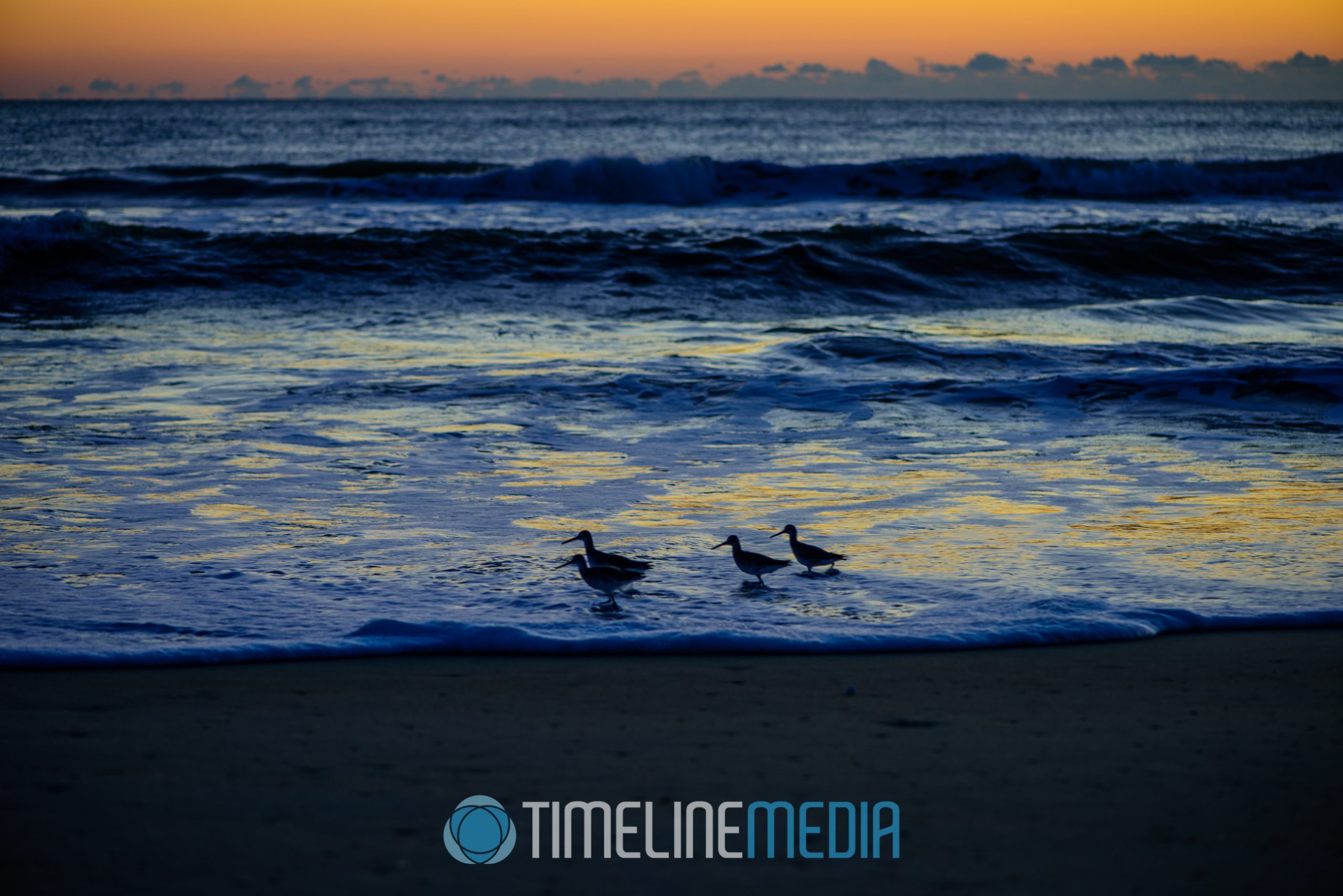 Early morning on the ocean shore in North Carolina ©TimeLine Media