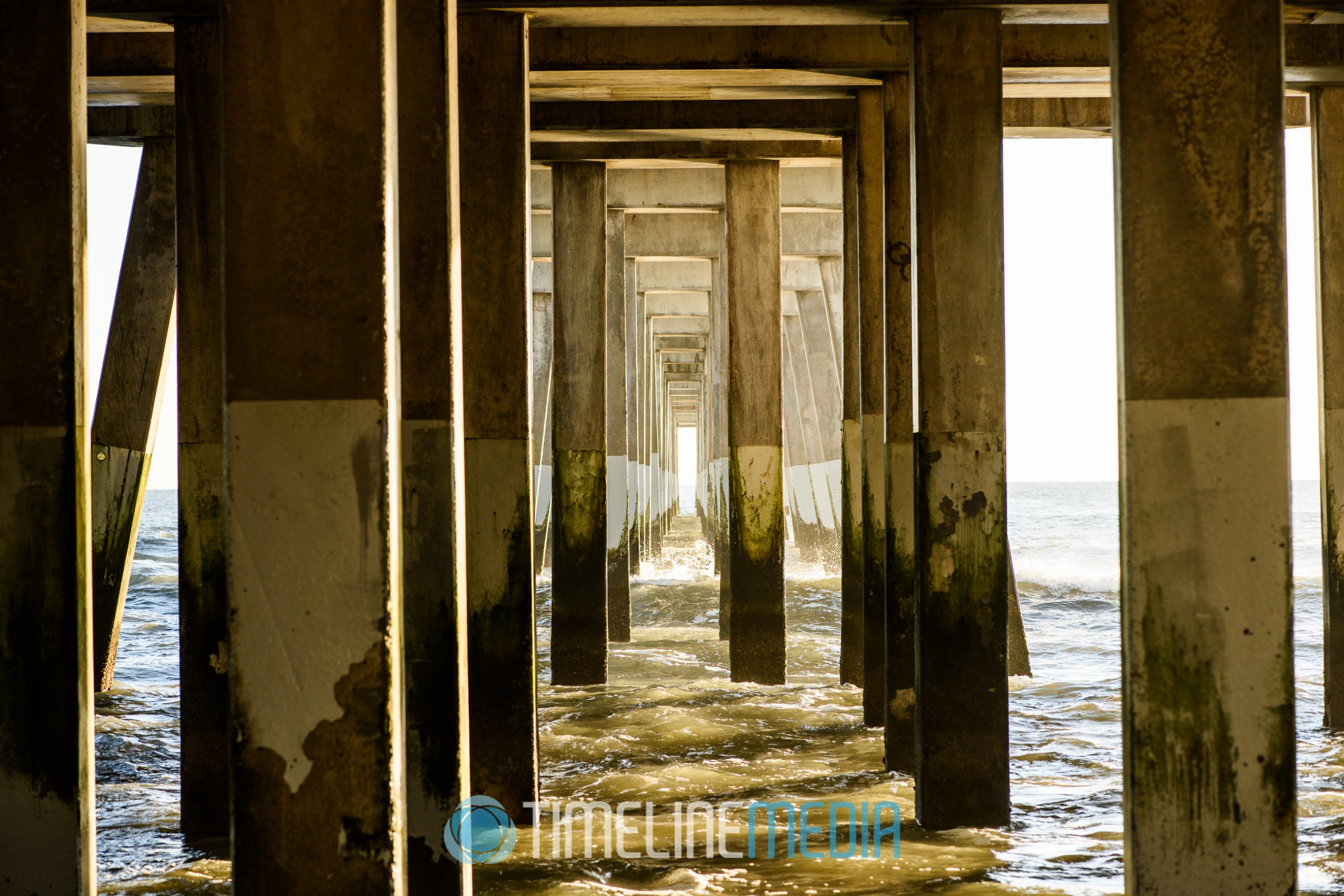 Under an ocean pier in North Carolina ©TimeLine Media