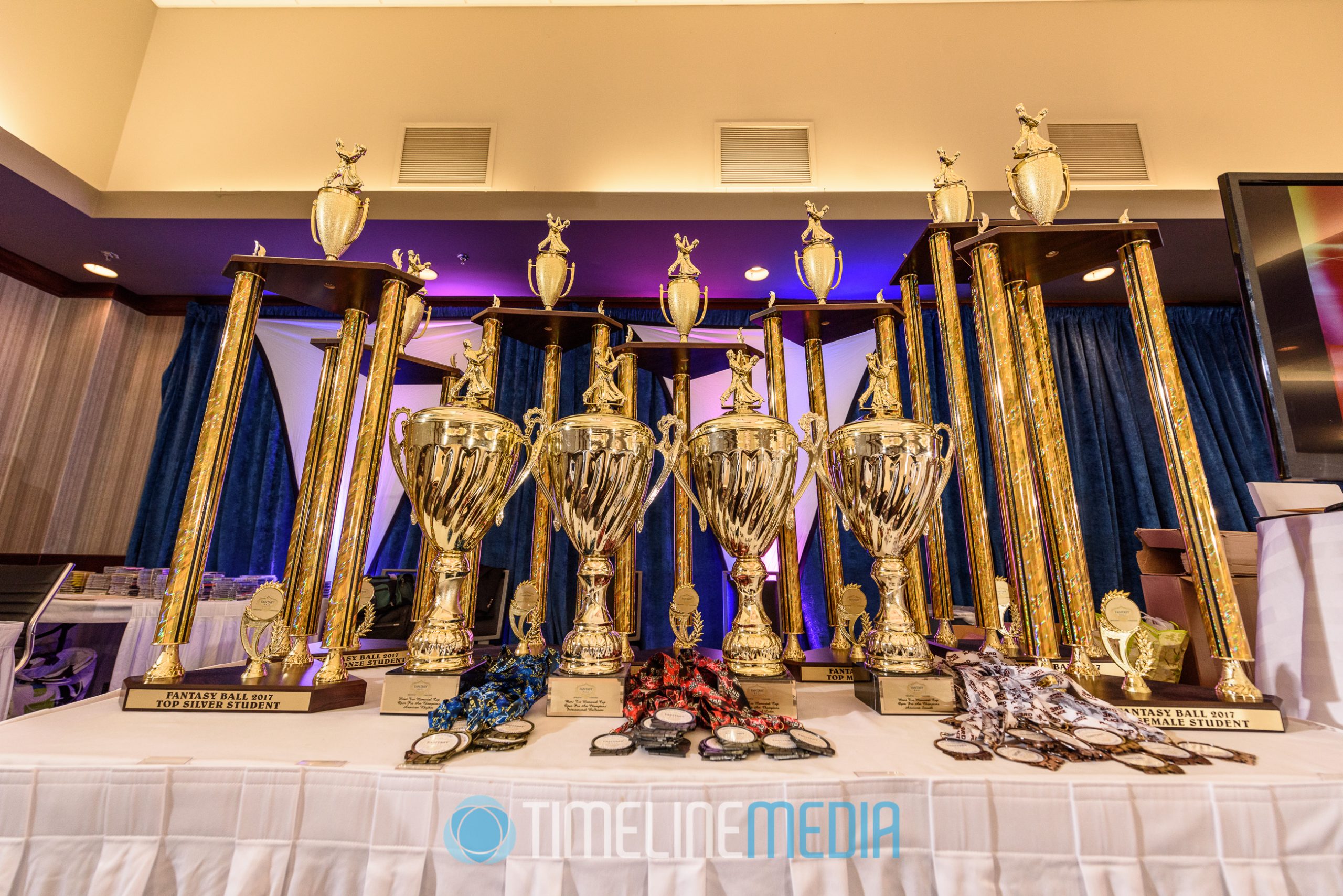 2017 Fantasy Ball Awards at the Fantasy Ball Dancesport Competition ©TimeLine Media