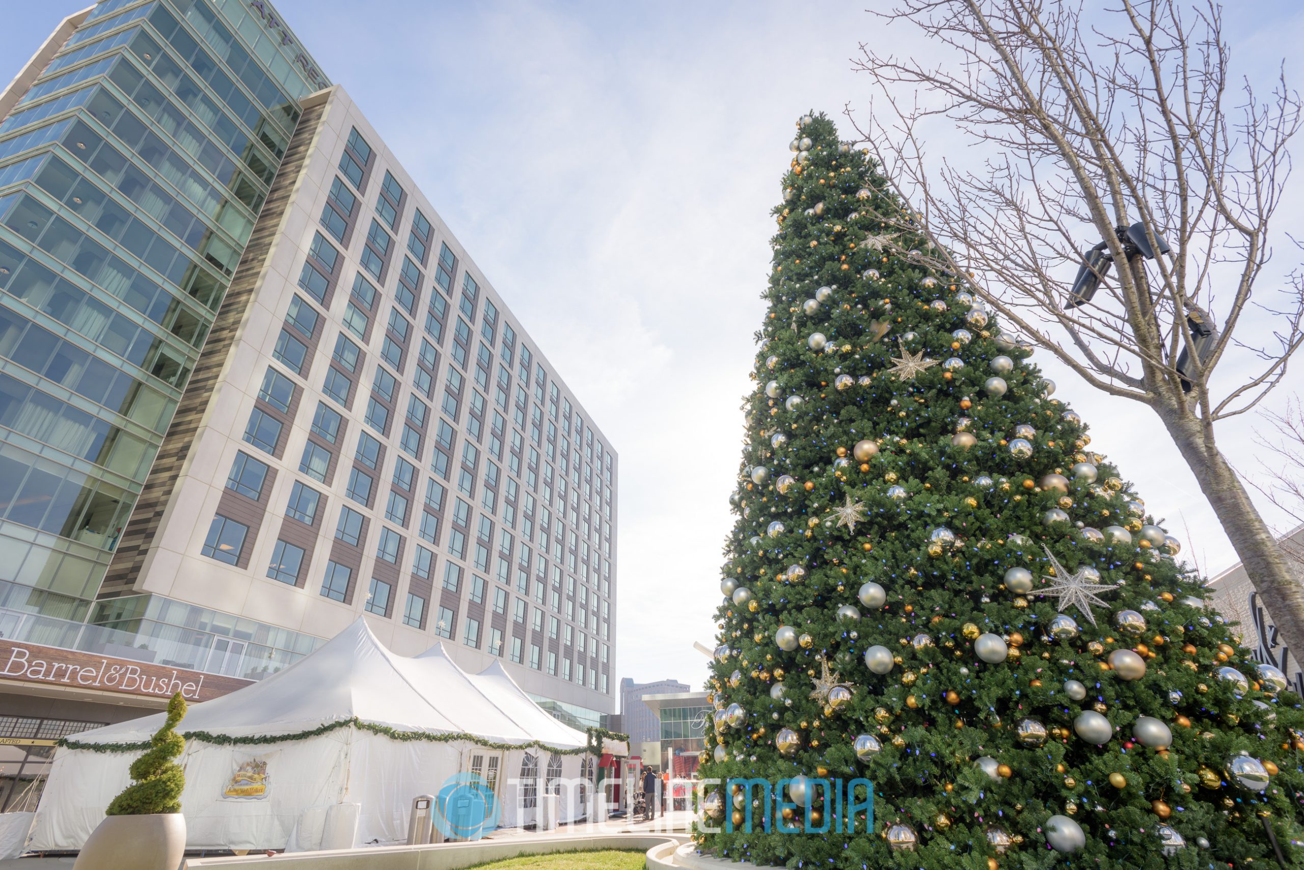 Christmas Tree on the Plaza at Tysons Corner Center