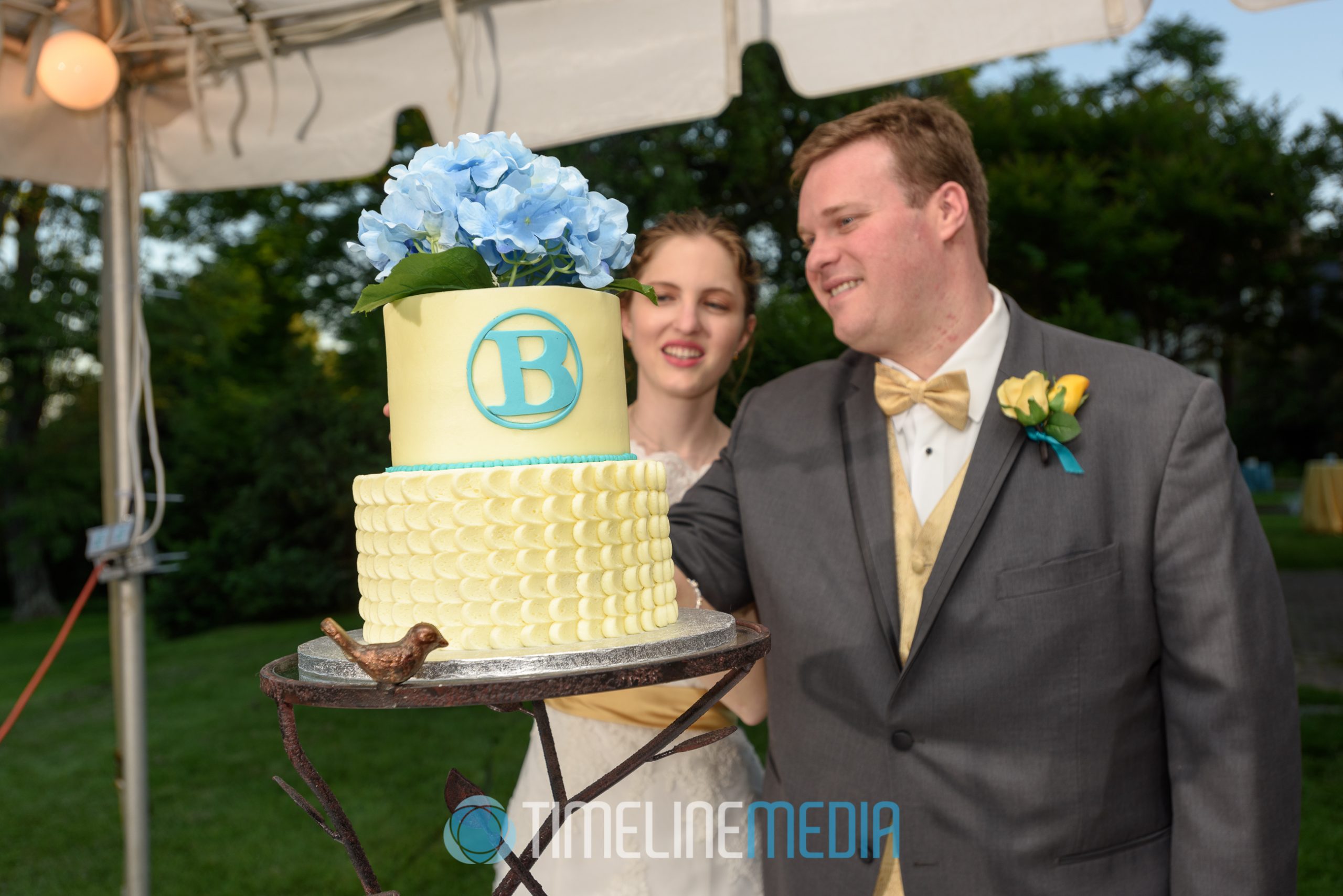 Wedding couple and wedding cake ©TimeLine Media
