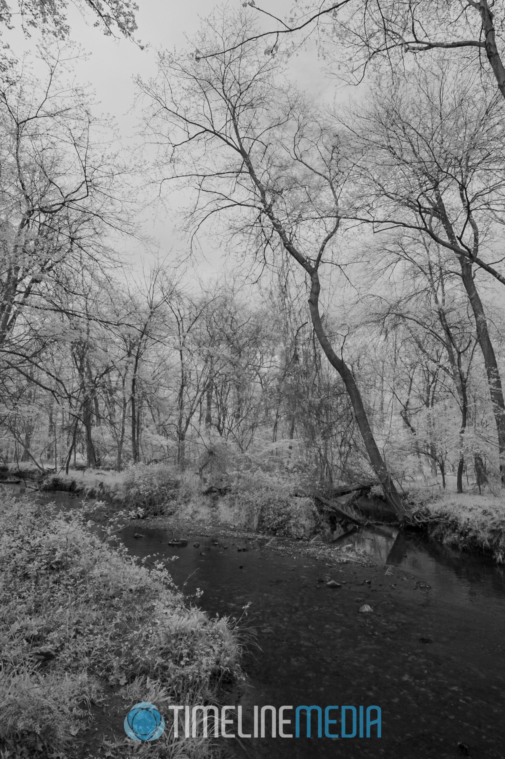 Holmes Run in Falls Church, VA stream in infrared ©TimeLine Media