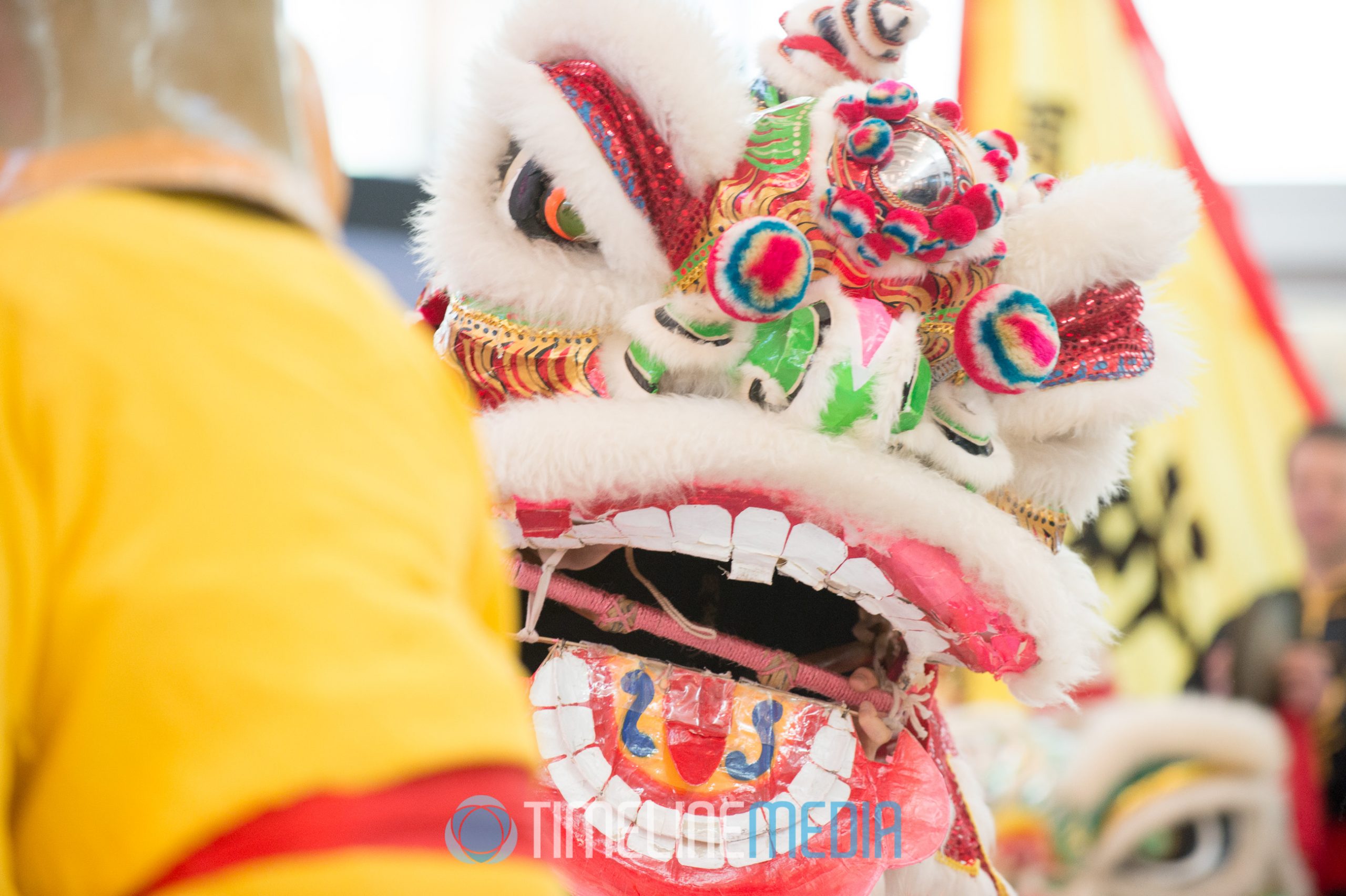 Dancing dragon - Lunar New Year Celebration at Tysons Corner Center ©TimeLine Media