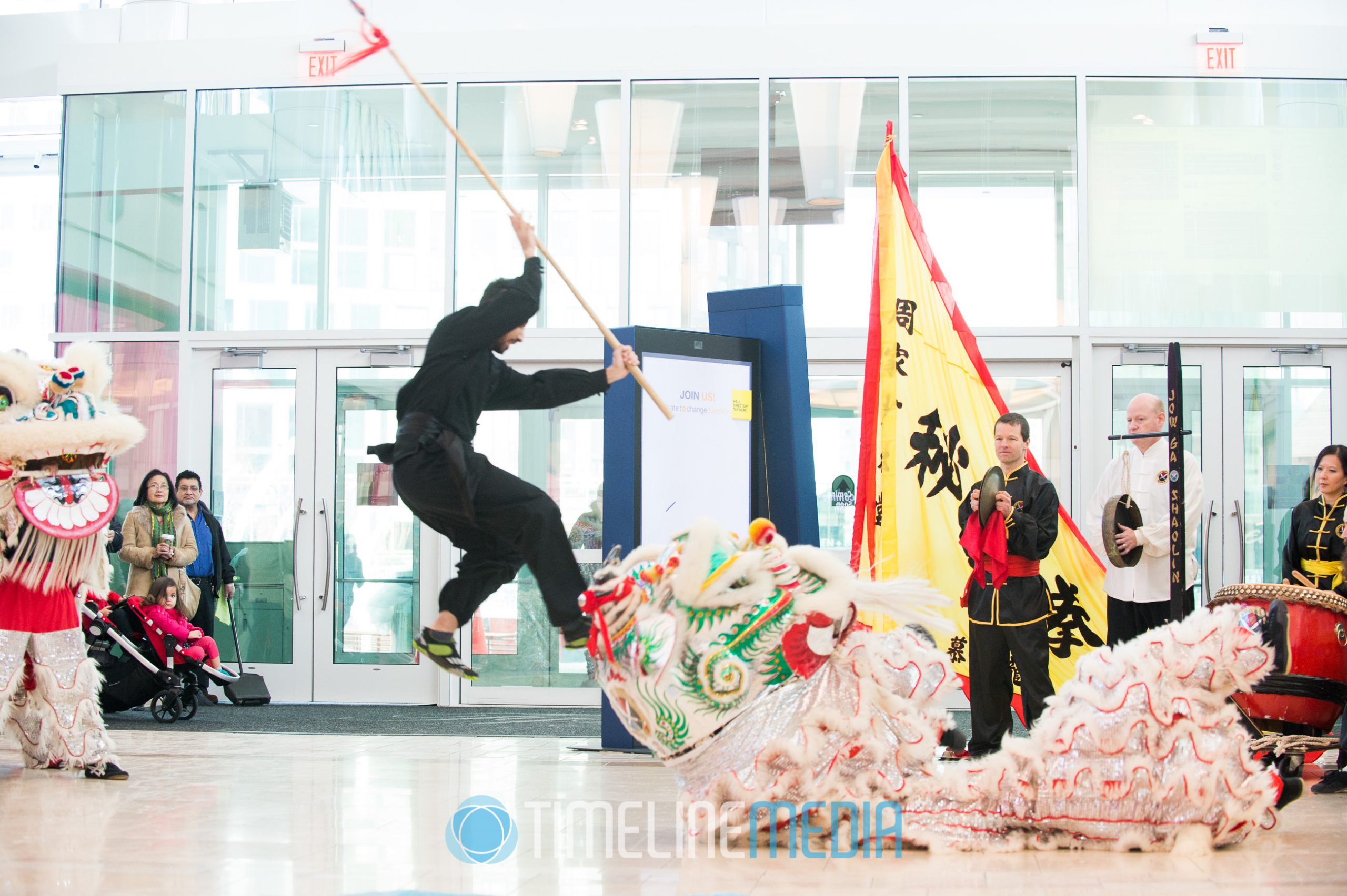 Martial Artist performing at the lunar new year celebration at Tysons ©TimeLine Media