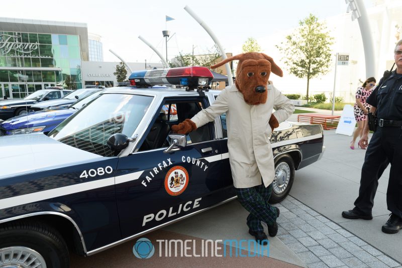 2017 First Responders Day - McGruff the Crime Dog by a Retro Fairfax County police cruiser on the Plaza at Tysons Corner Center 