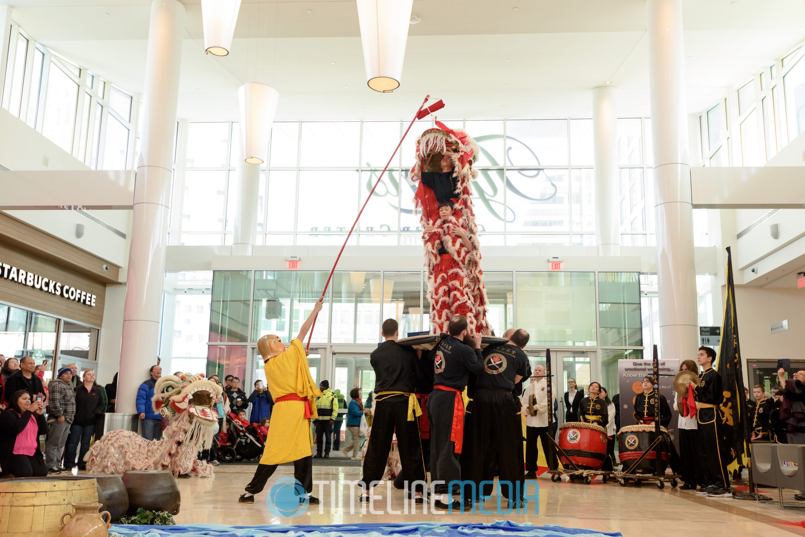 Dancing dragon - Lunar New Year Celebration at Tysons Corner Center ©TimeLine Media