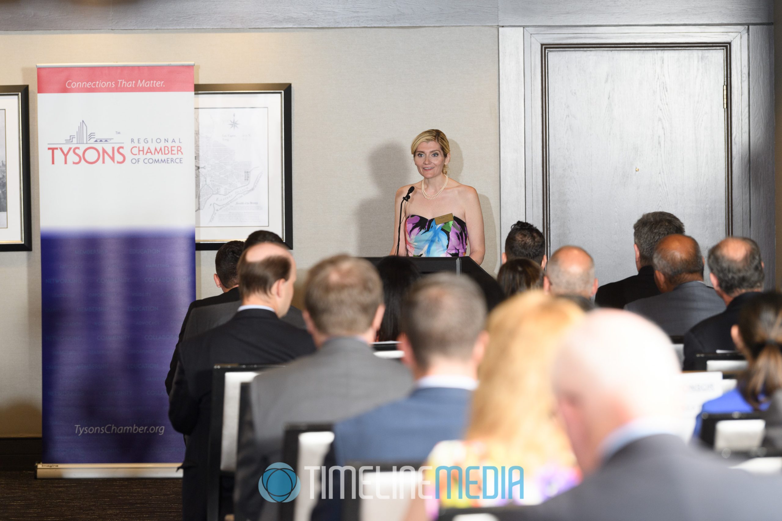 0121-2018-Tysons-Chamber-Summer-Soiree-20180621