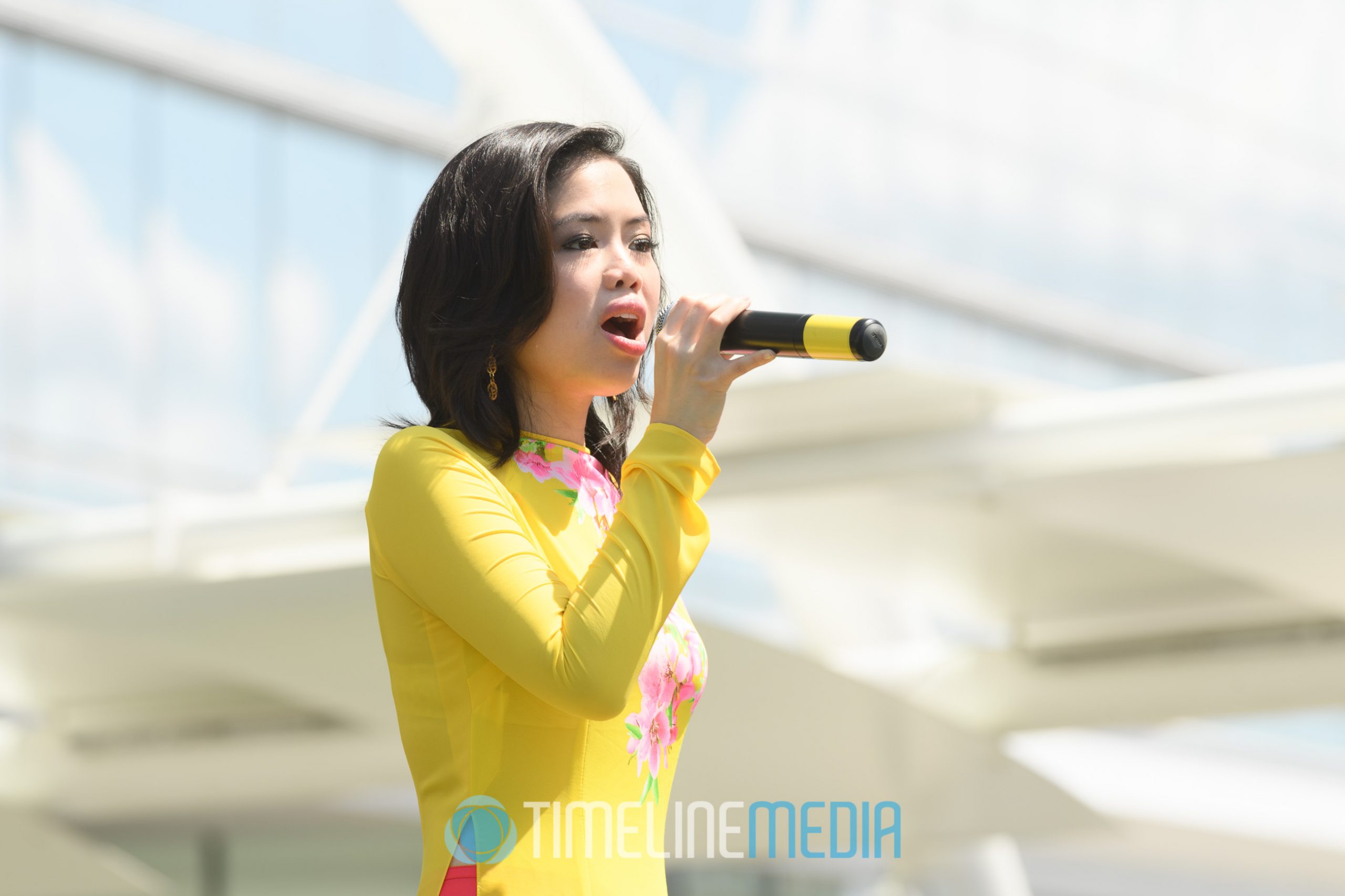 Singer at VietFest on the Plaza at Tysons Corner Center