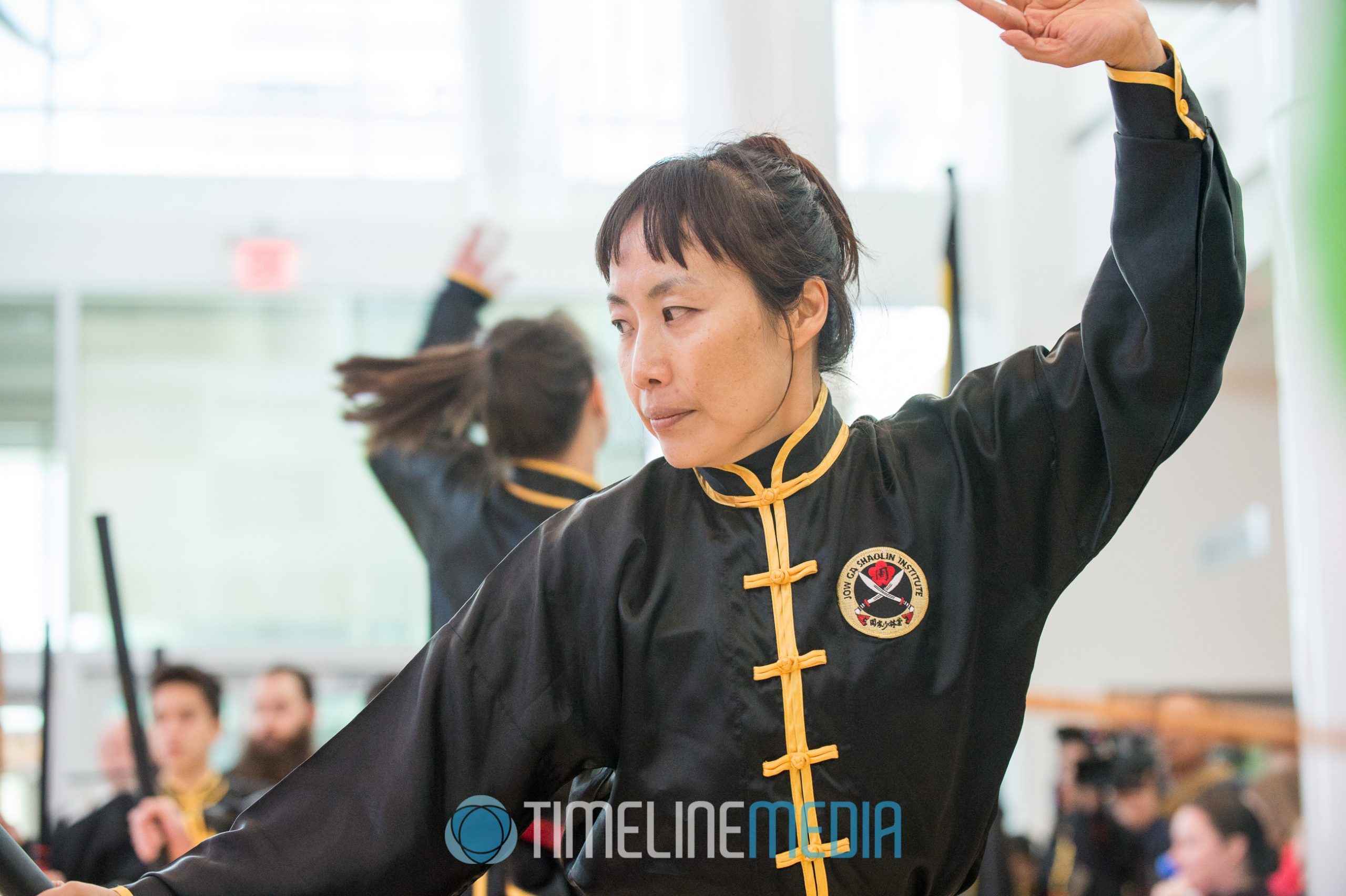 Martial artists performing at Tysons Corner Center Concourse ©TimeLine Media