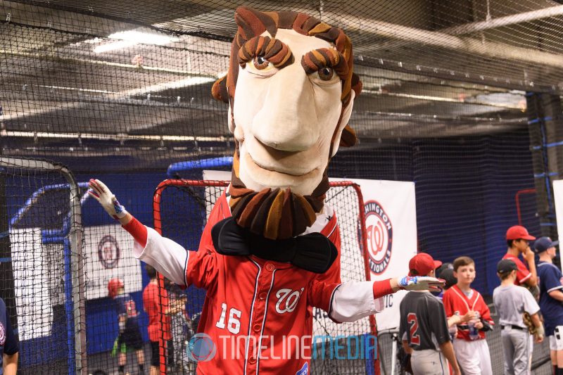Racing President Abraham Lincoln poses during a break during a Washington Nationals baseball clinic at the Bullpen in Tysons