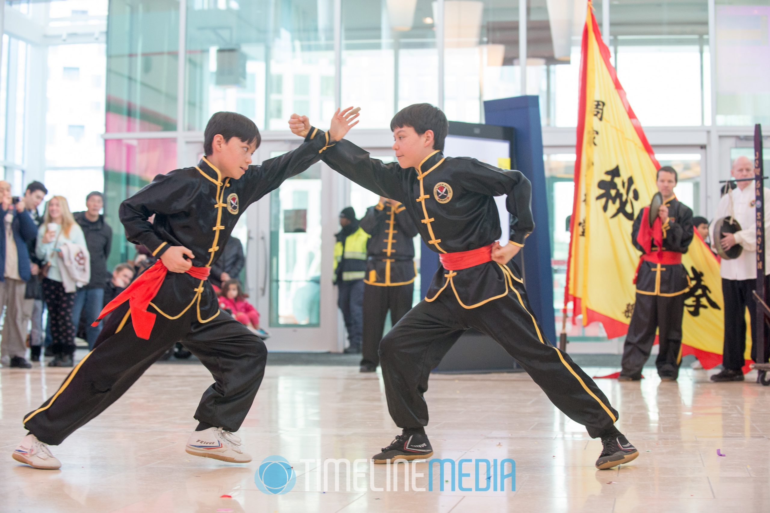 Martial artists performing at Tysons Corner Center Concourse ©TimeLine Media