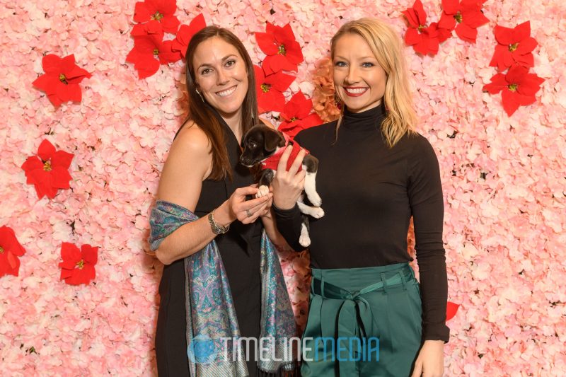 Wolf Trap Animal Rescue puppies at the Tysons Partnership 2019 Holiday Reception 
©TimeLine Media