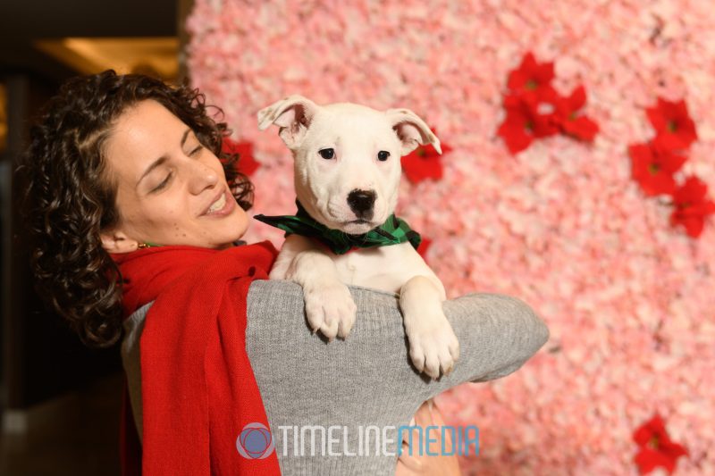 Wolf Trap Animal Rescue puppies at the Tysons Partnership Holiday Reception 
©TimeLine Media