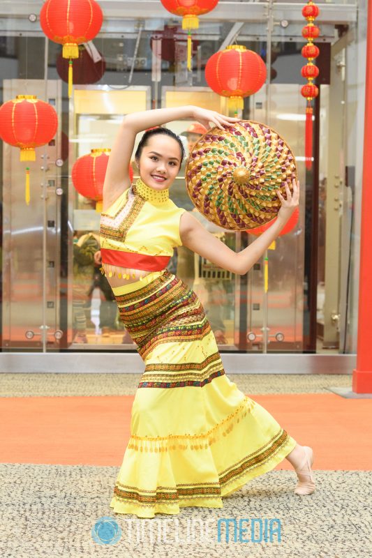 Lunar New Year celebration dancer at Tysons Corner Center