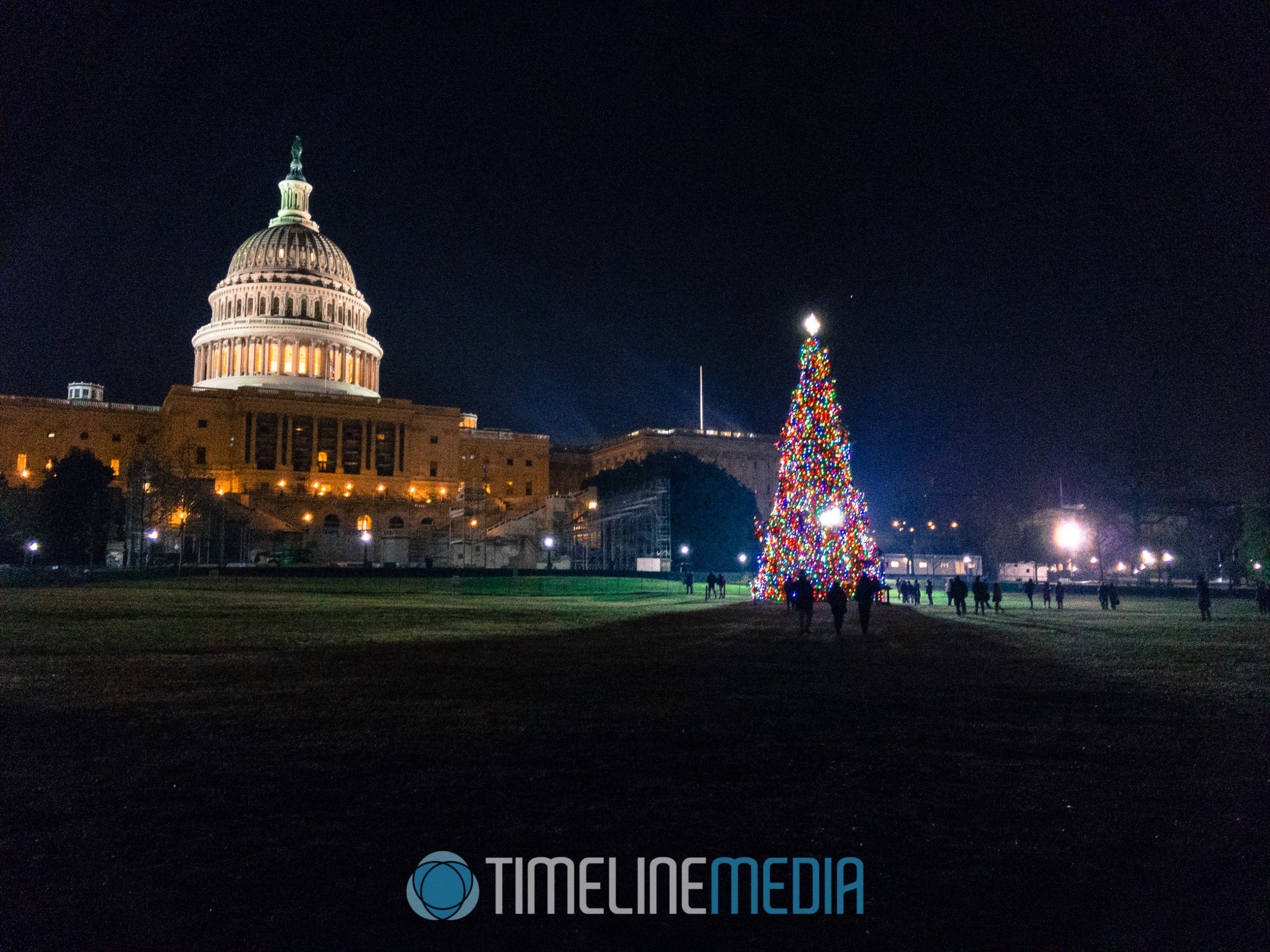 Capitol Christmas tree - 2016 ©TimeLine Media