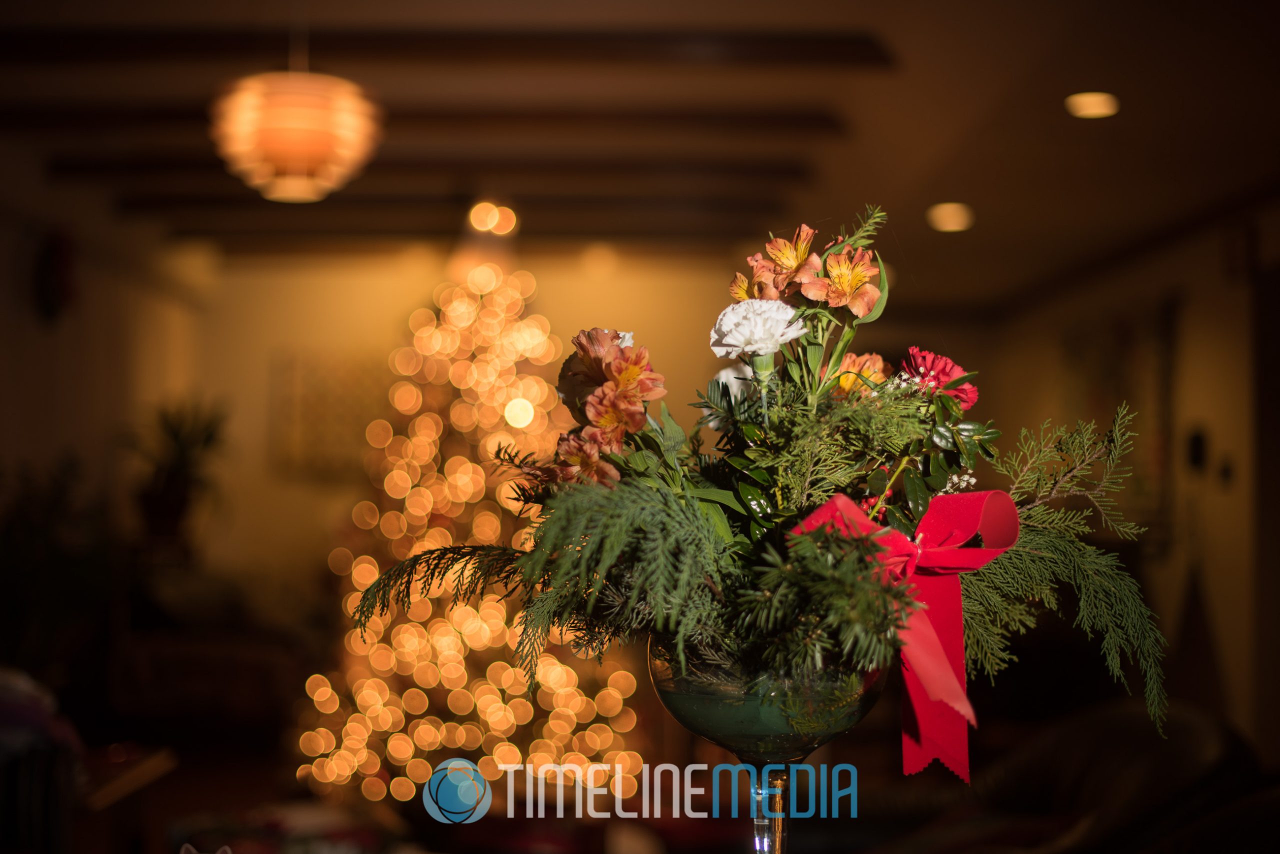Flower arrangement and 2016 Christmas day lights ©TimeLine Media