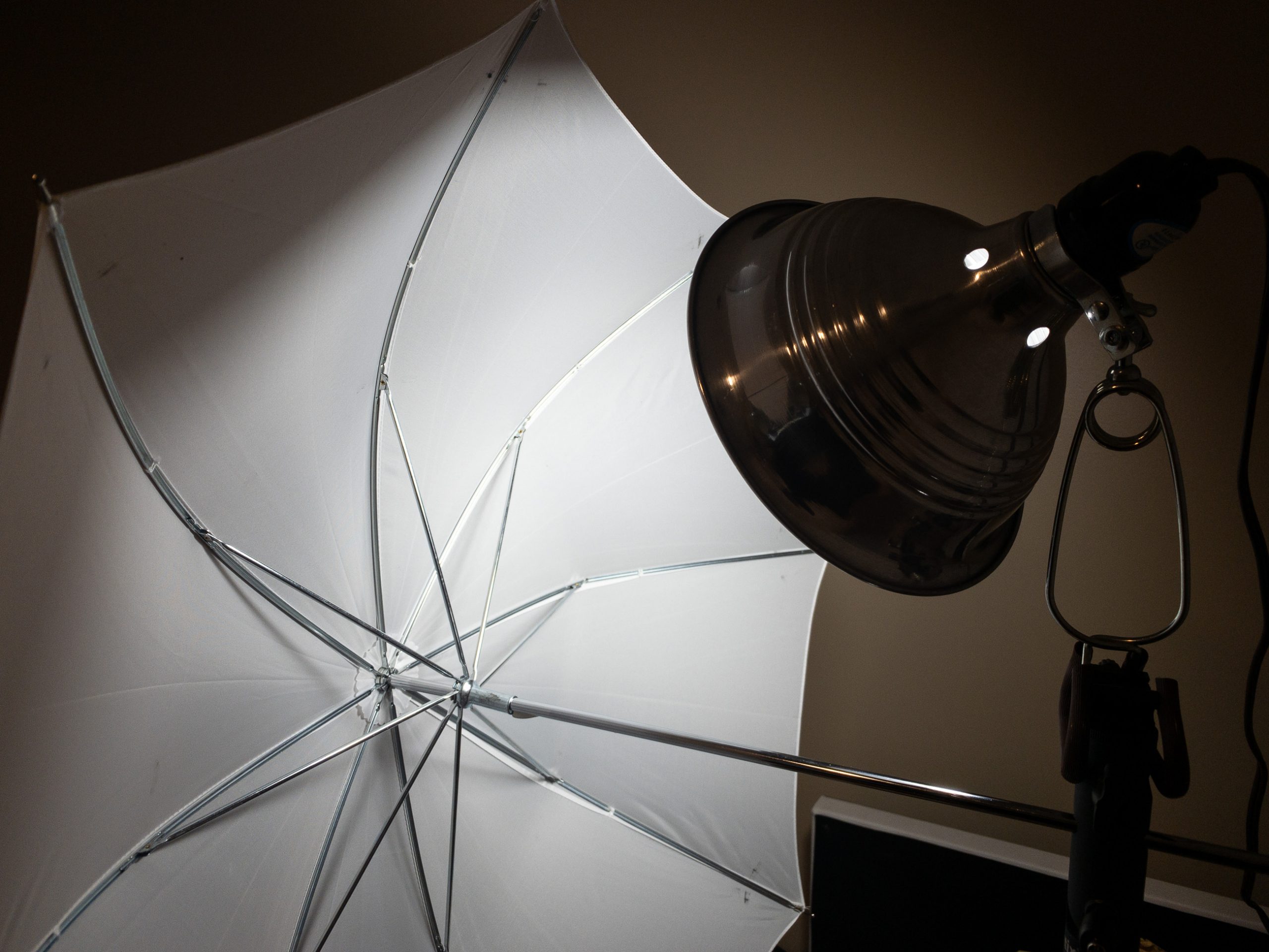 Shop Light firing into an umbrella