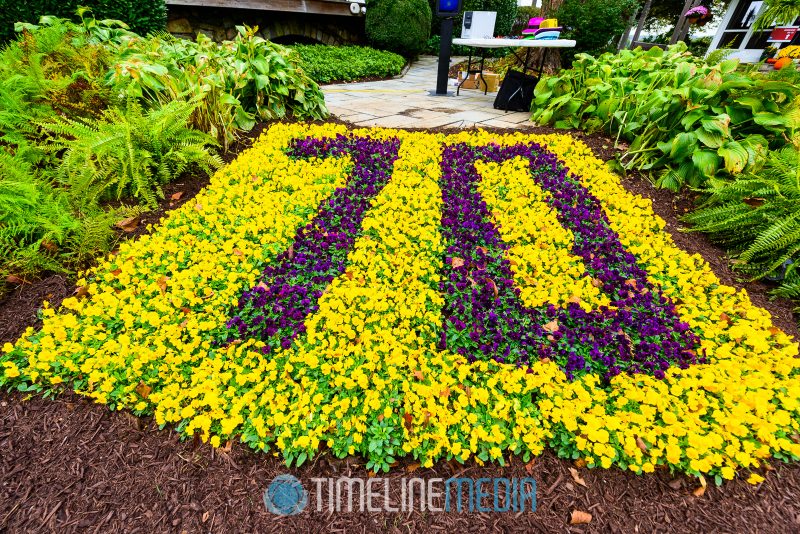 Flower bed with 70 for the Carl M. Freeman Companies celebration ©TimeLine Media