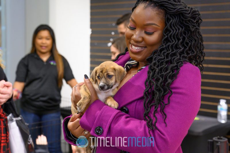 Cuddling with puppies from Wolf Trap Animal Rescue at Tysons Corner Center