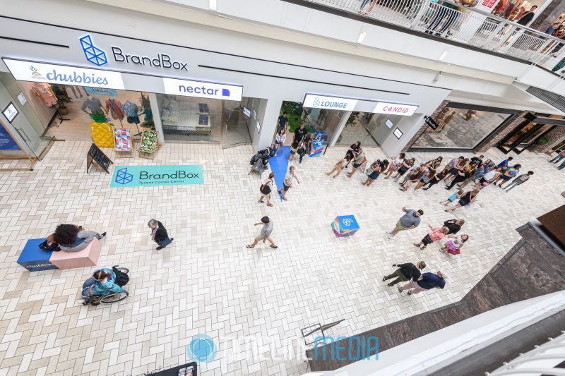 Line waiting for puppies at the BrandBox in Tysons Corner Center