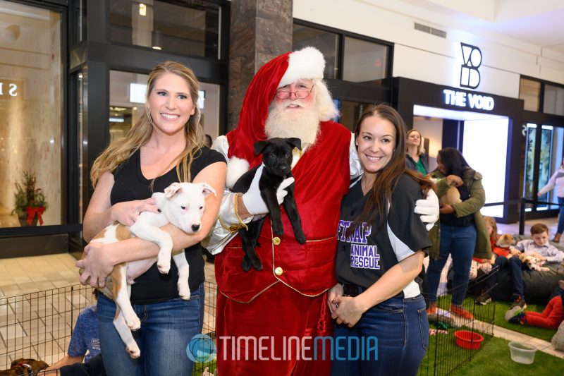 Santa and the Wolf Trap Animal Rescue with puppies at the BrandBox in Tysons