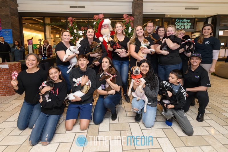 Puppies and members of the Wolf Trap Animal Rescue pose with Santa at BrandBox