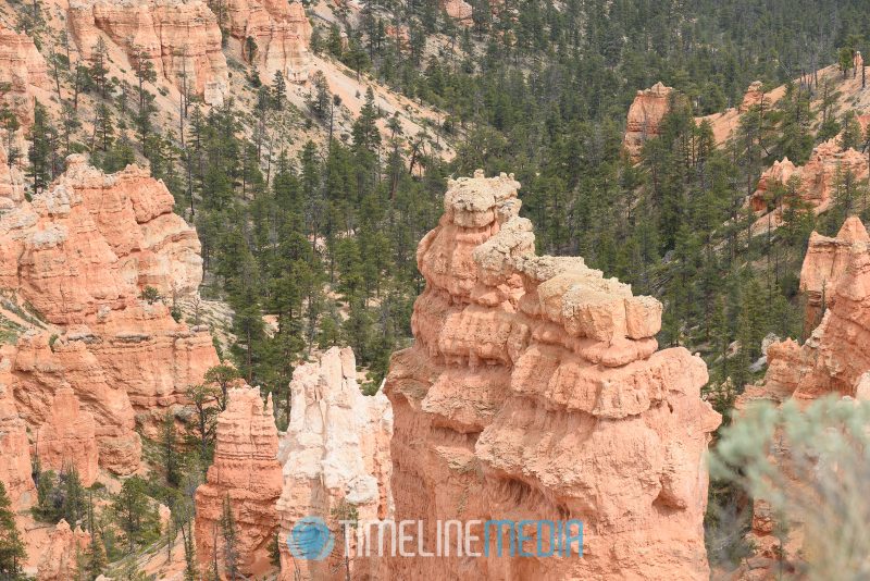 Irregular spikes of eroded rock named 'hoodoos' from the canyon rim ©TimeLine Media