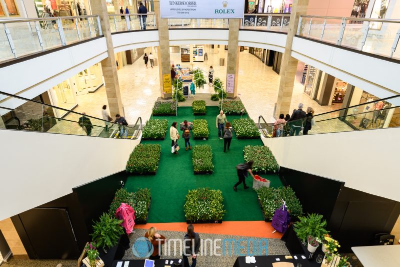 Looking down on a Field of Tulips at Tysons Corner Center 2019 2nd Quarter Media