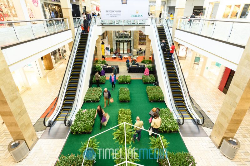 Fashion Court in Tysons Corner Center with the Field of Tulips pop up 