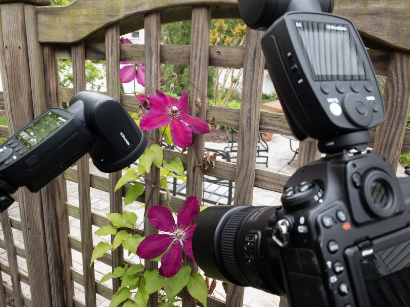 Setup of camera and off camera flashes in the back garden ©TimeLine Media